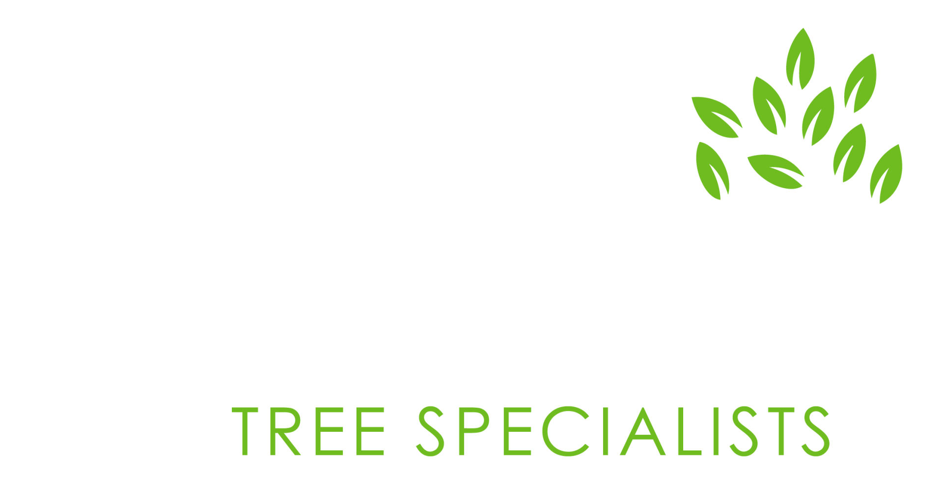 Tree surgeons | Jones Tree Specialists